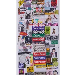 SUPREME 2019 SUPREME X PHAIDON STICKER DOOR FRIENDS FAMILY (Brand New)